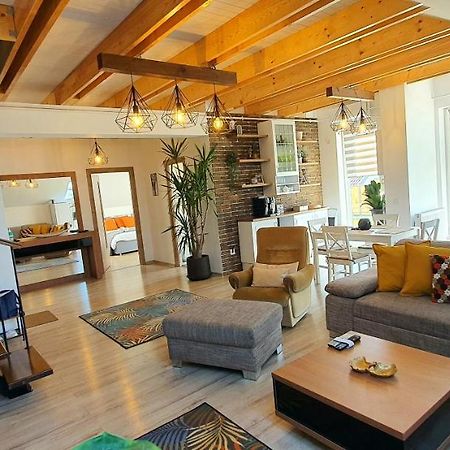 Hoobee Home & Rooftop Terrace Târgu-Mureş Zewnętrze zdjęcie