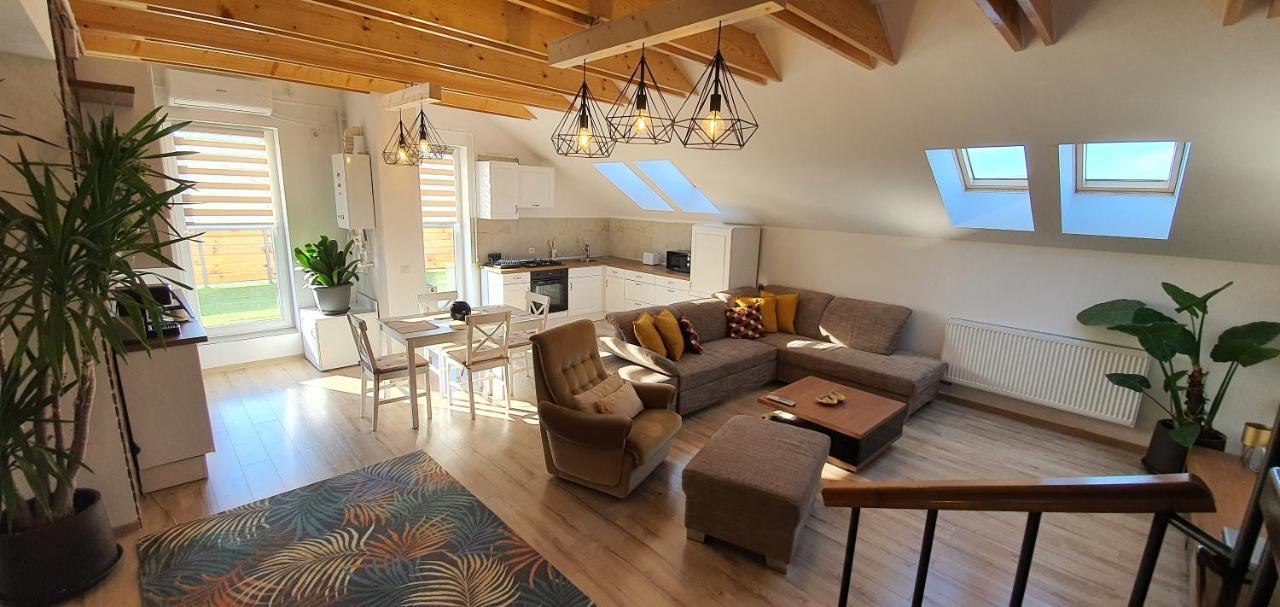 Hoobee Home & Rooftop Terrace Târgu-Mureş Zewnętrze zdjęcie