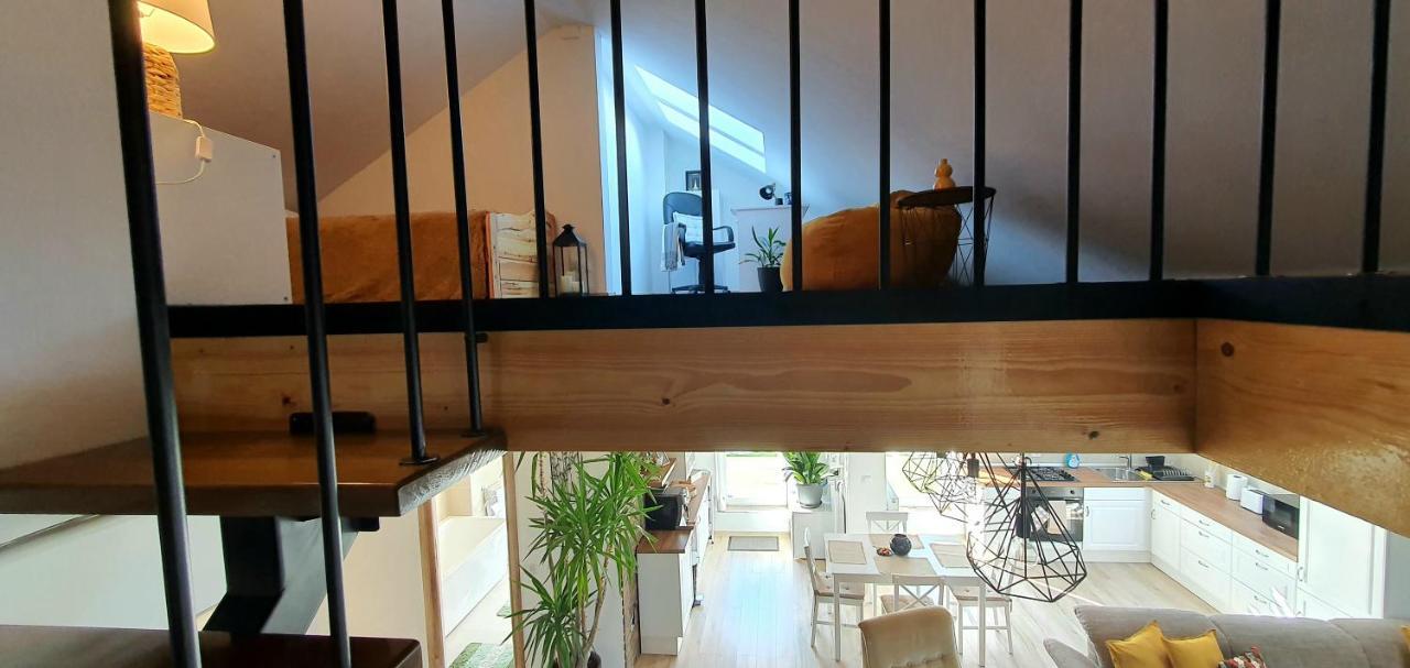 Hoobee Home & Rooftop Terrace Târgu-Mureş Zewnętrze zdjęcie