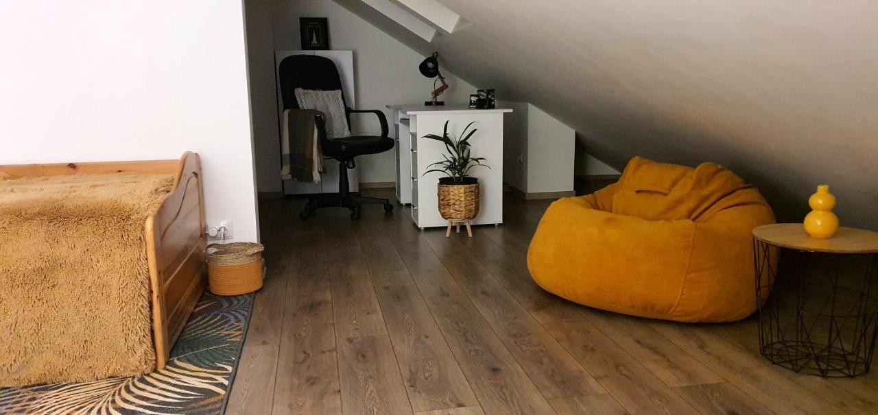 Hoobee Home & Rooftop Terrace Târgu-Mureş Zewnętrze zdjęcie