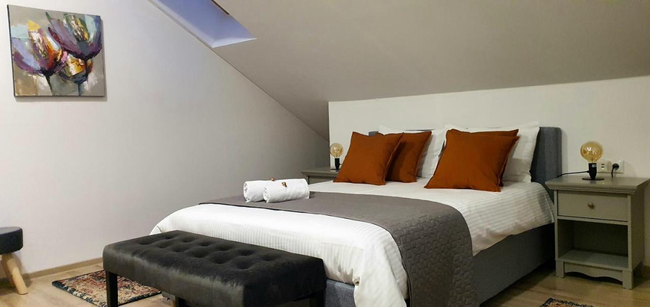 Hoobee Home & Rooftop Terrace Târgu-Mureş Zewnętrze zdjęcie