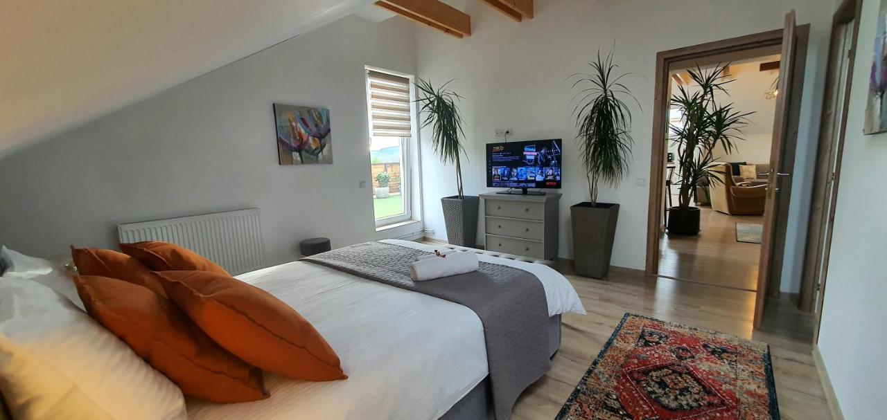 Hoobee Home & Rooftop Terrace Târgu-Mureş Zewnętrze zdjęcie