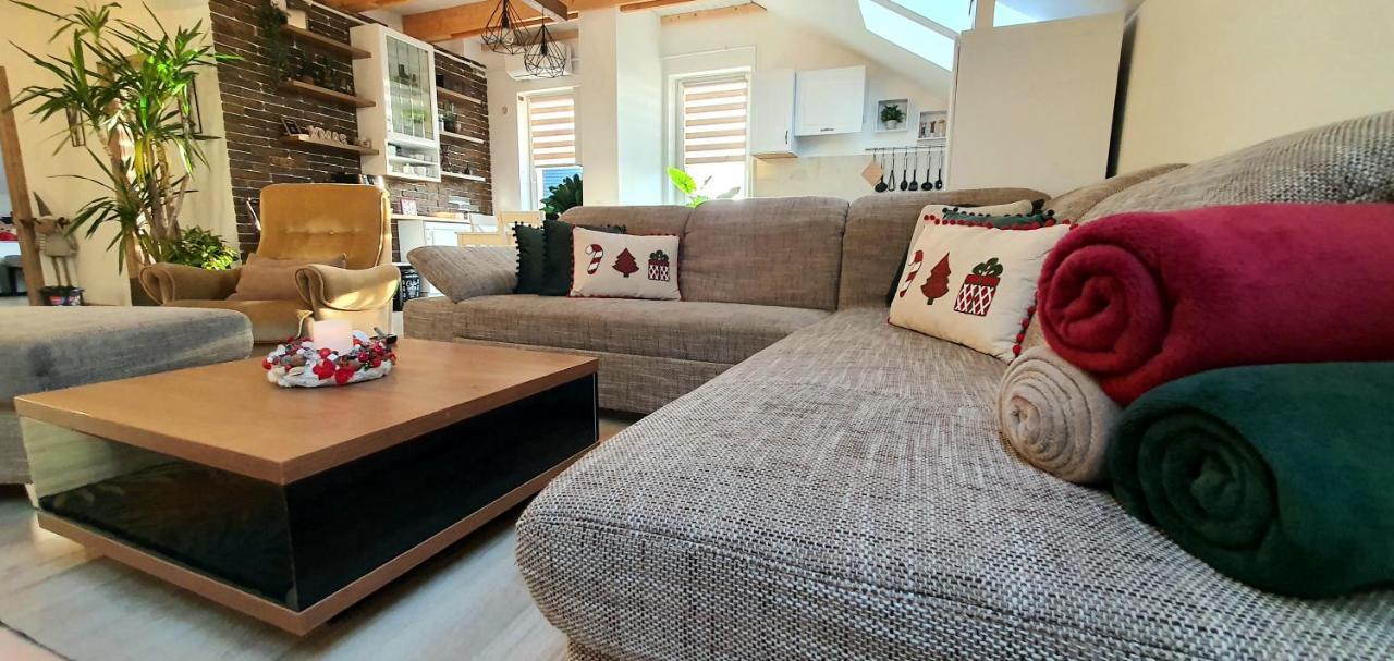 Hoobee Home & Rooftop Terrace Târgu-Mureş Zewnętrze zdjęcie